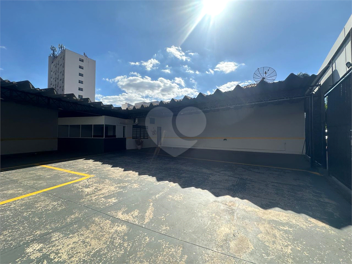 Foto REO1135897