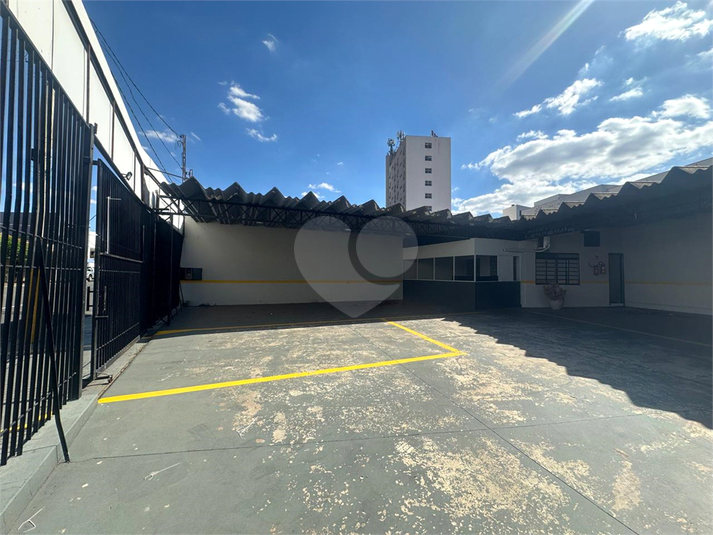 Foto REO1135897
