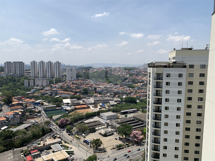 Foto REO1135910
