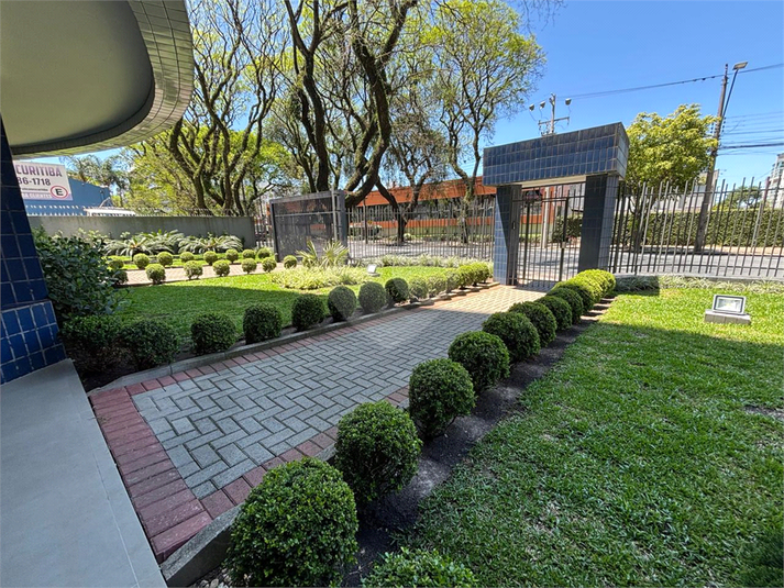Foto REO1135927