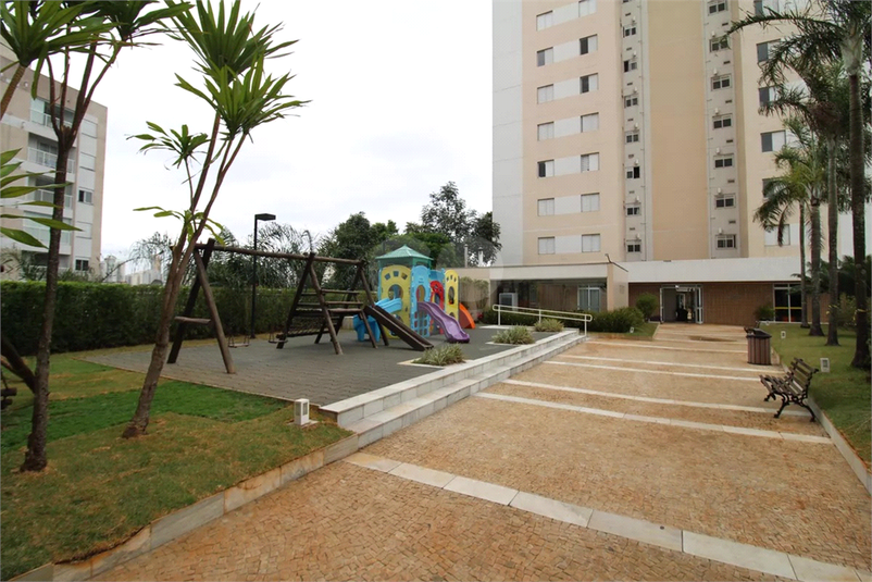Foto REO1135943