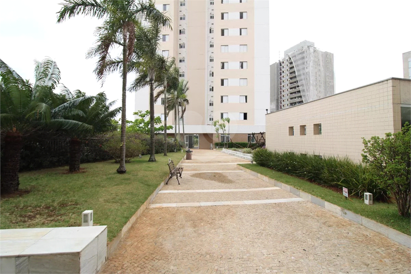 Foto REO1135943
