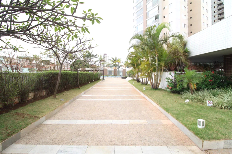 Foto REO1135943