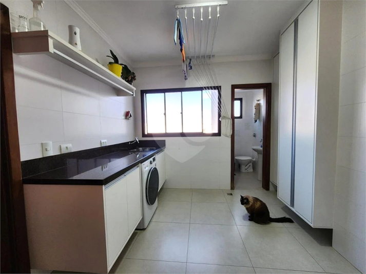 Foto REO1135981