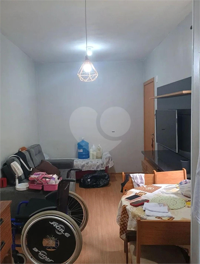 Foto REO1135986