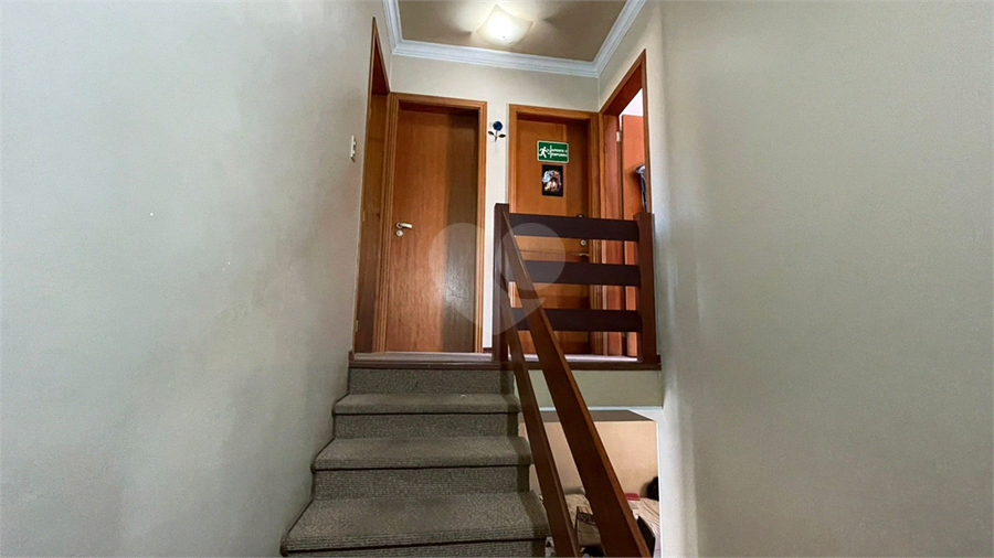 Foto REO1135994