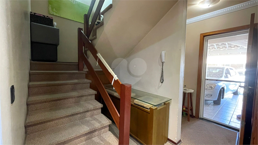Foto REO1135994