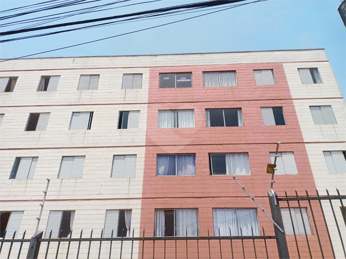 Foto REO1136042