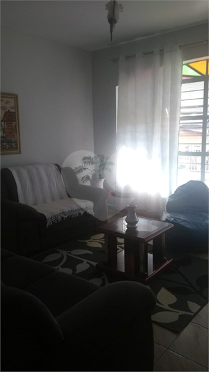 Foto REO1136044