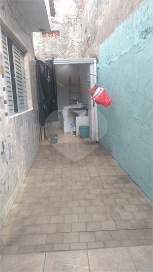 Foto REO1136044