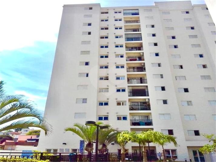 Foto REO1136054