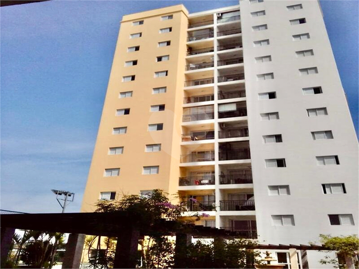 Foto REO1136054