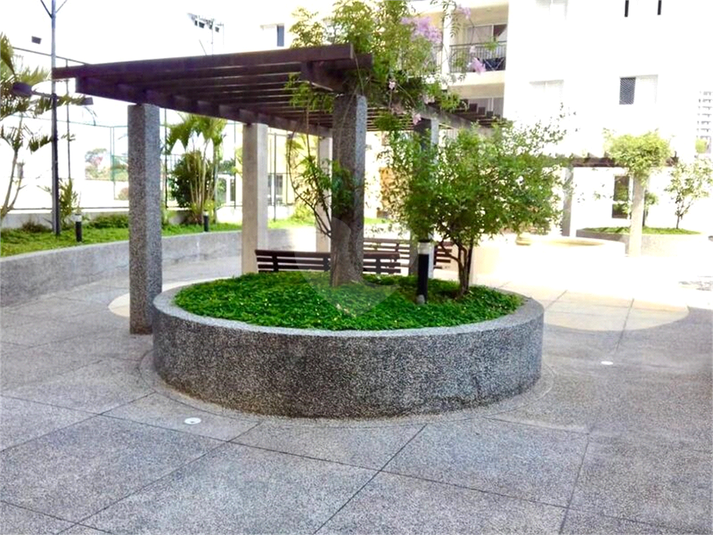 Foto REO1136054
