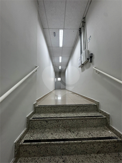 Foto REO1136055
