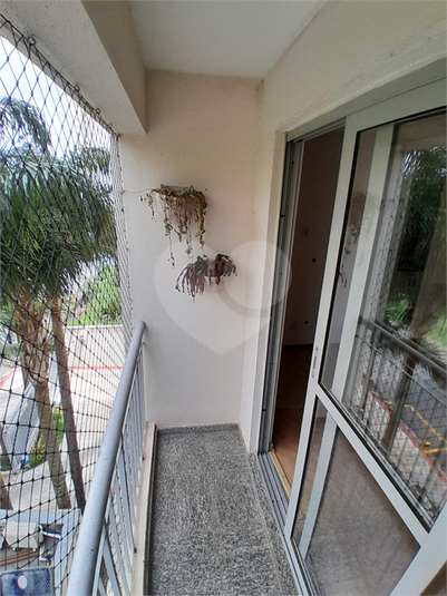 Foto REO1136072