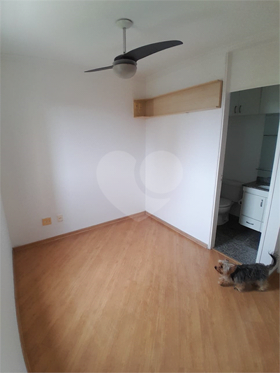 Foto REO1136072