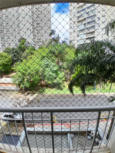 Foto REO1136072