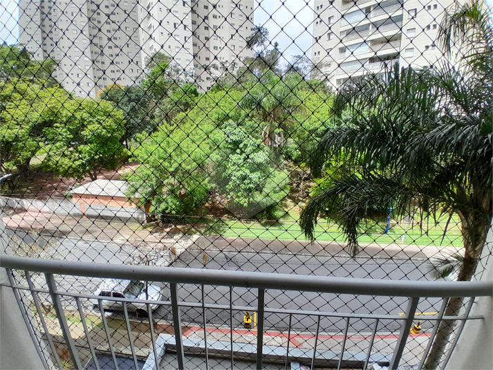 Foto REO1136072