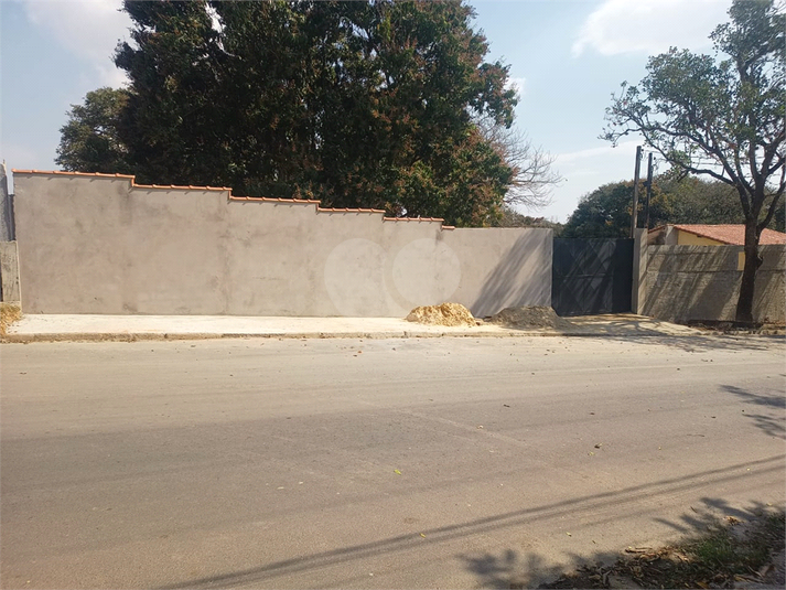 Foto REO1136078