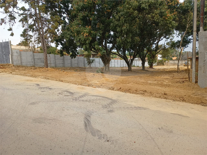 Foto REO1136078