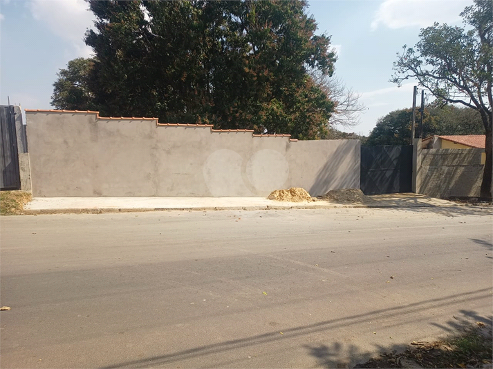 Foto REO1136078