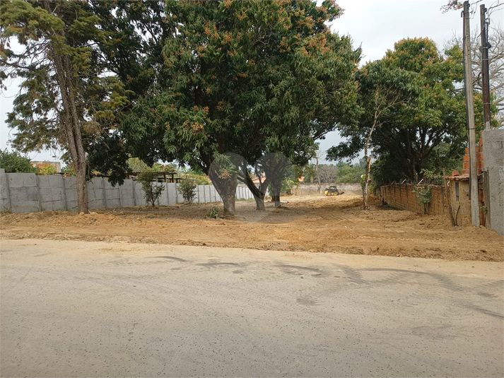 Foto REO1136078
