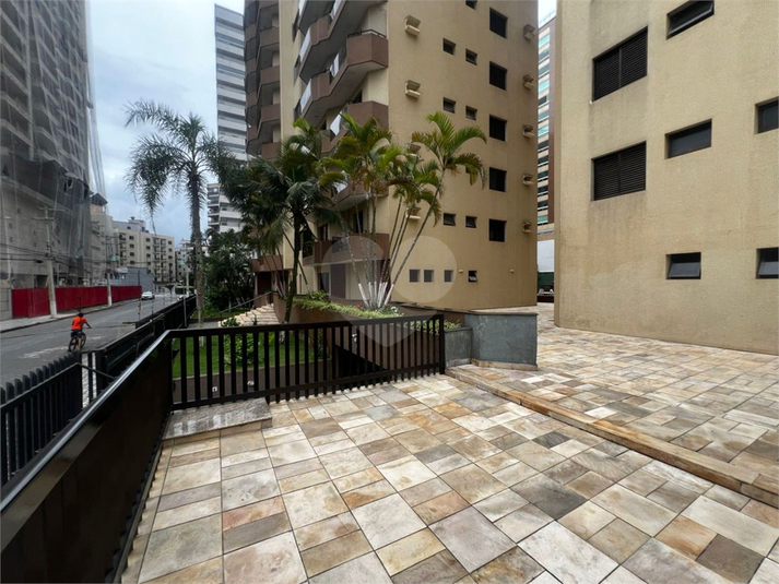 Foto REO1136092