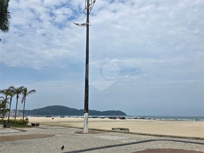 Foto REO1136106