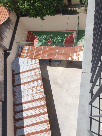Foto REO1136109