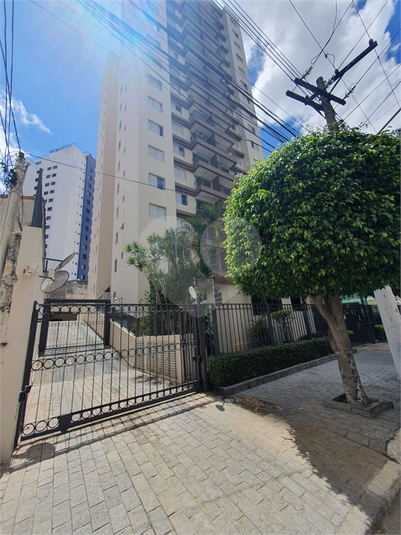 Foto REO1136109