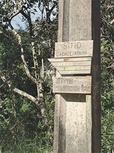 Foto REO1136114