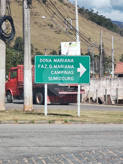 Foto REO1136114
