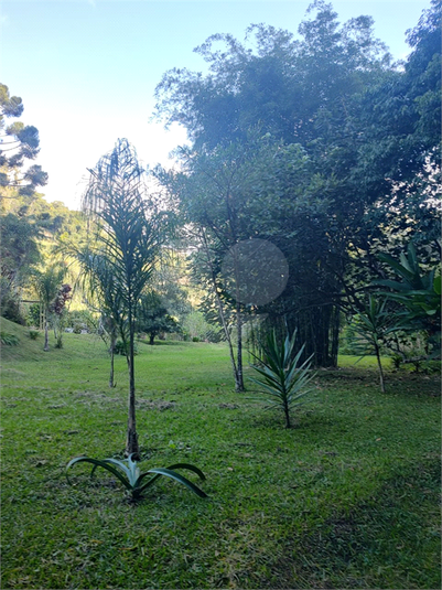 Foto REO1136114