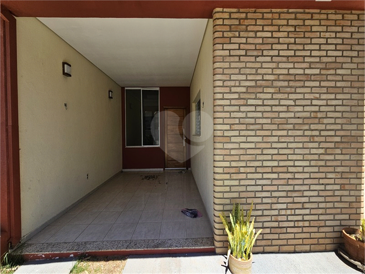 Foto REO1136133