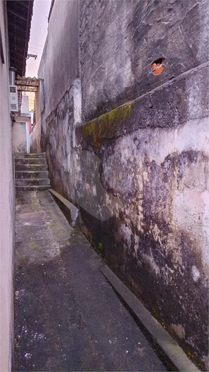 Foto REO1136135