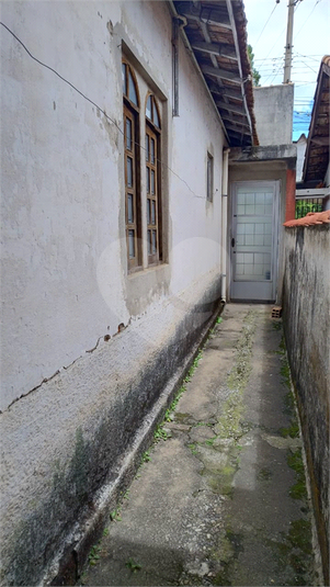 Foto REO1136135