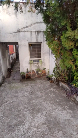 Foto REO1136135