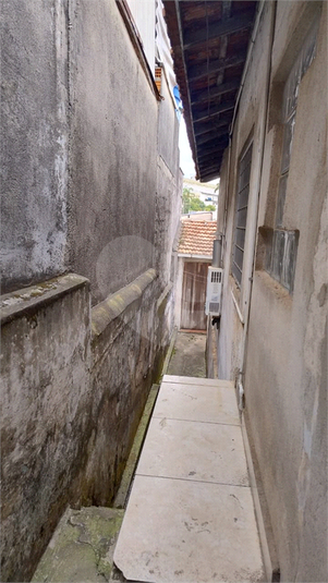 Foto REO1136135