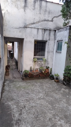 Foto REO1136135