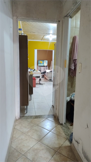 Foto REO1136135