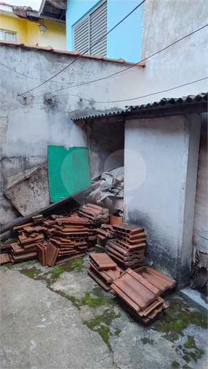 Foto REO1136135