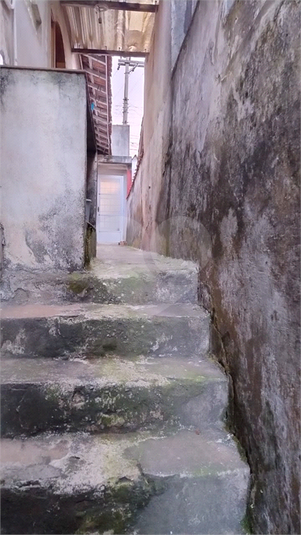 Foto REO1136135