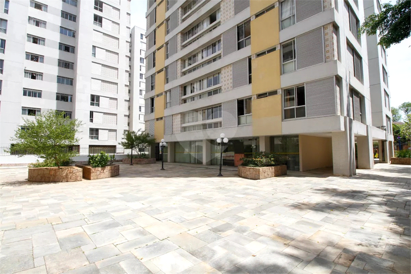 Foto REO1136144