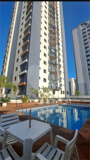 Foto REO1136153