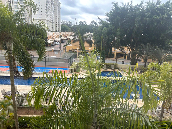 Foto REO1136161