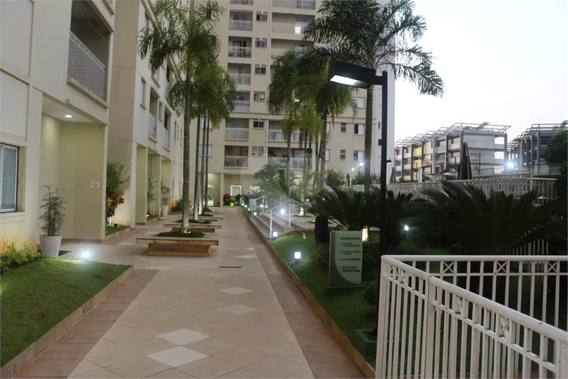Foto REO1136161