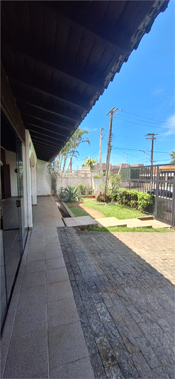 Foto REO1136177