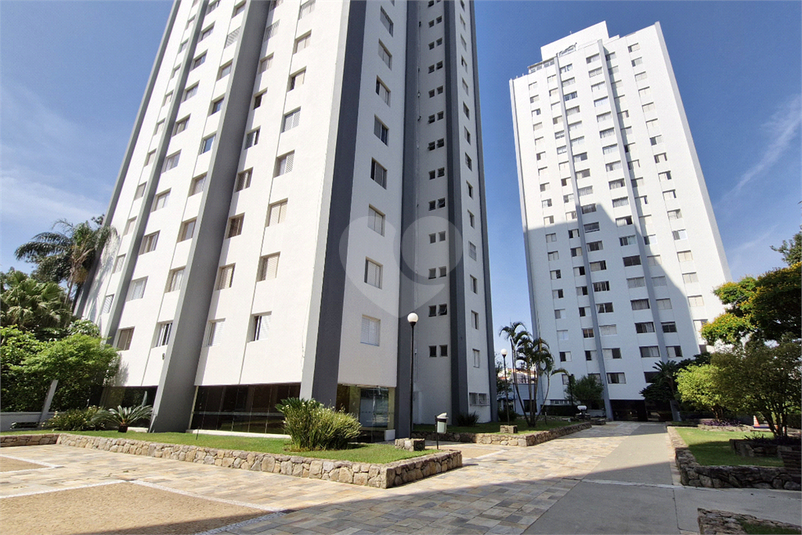 Foto REO1136178