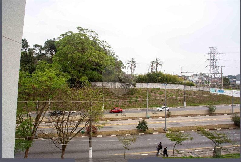 Foto REO1136179