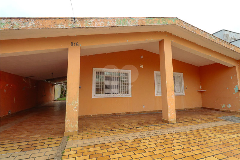 Foto REO1136188